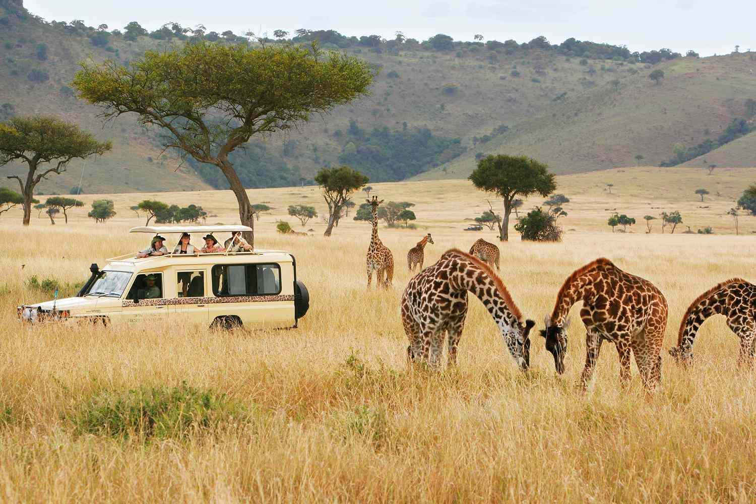 Kenya: For the Picture-Perfect Wildlife Safari Experience